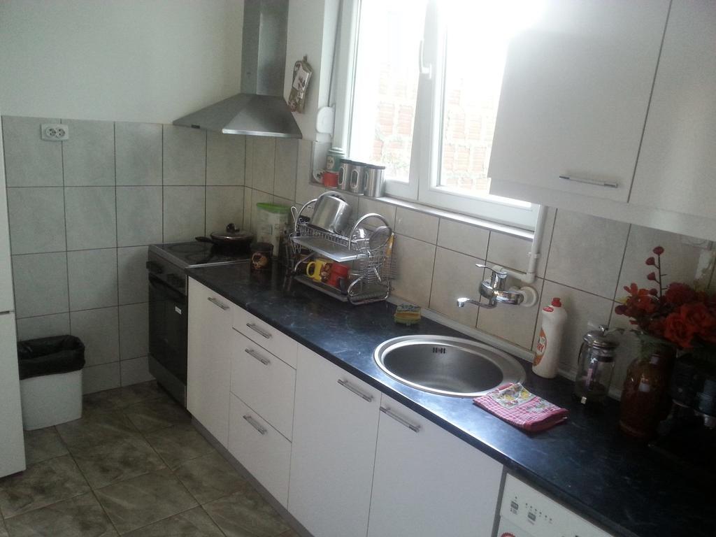 Guest House Villa Krstic Пирот Экстерьер фото